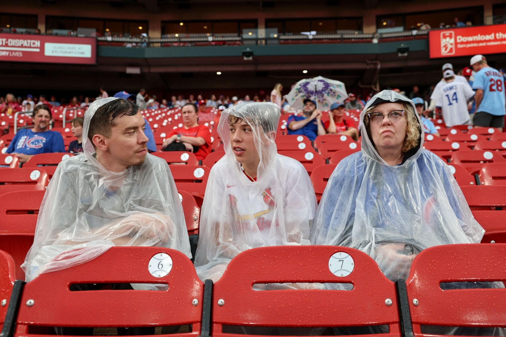 Chicago Cubs vs 果酱视频 Cardinals, Sunday